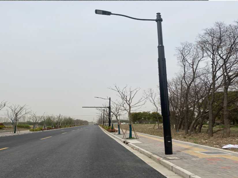 江南区上海综合杆 太阳能路灯工程